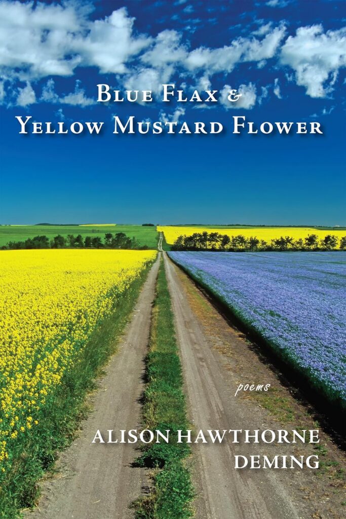 Blue Flax Yellow Mustard Flower
