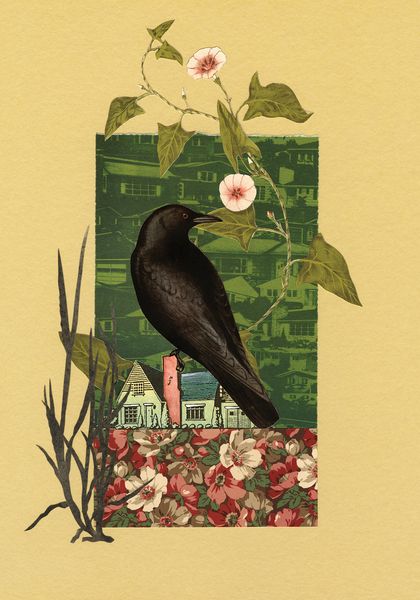 Illustration of crow with morning glory vine and white house with brick chimney